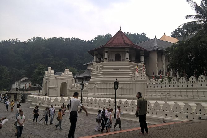 Kandy Day Tour From Colombo - The optional sights that can change your day