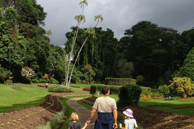 Kandy Day Tour From Colombo - Temple of the Sacred Tooth Relic: dress code and real context