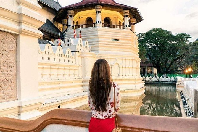 Kandy Day Tour From Colombo - Kandy View Point and Kandy Lake: quick views with a real local edge