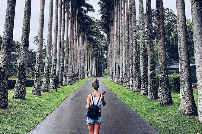 Kandy Day Tour From Colombo - Kandy town time: what you do with 4 hours matters