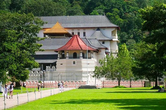 Kandy Day Tour From Colombo - Tea factory and the shopping stop question you should ask yourself