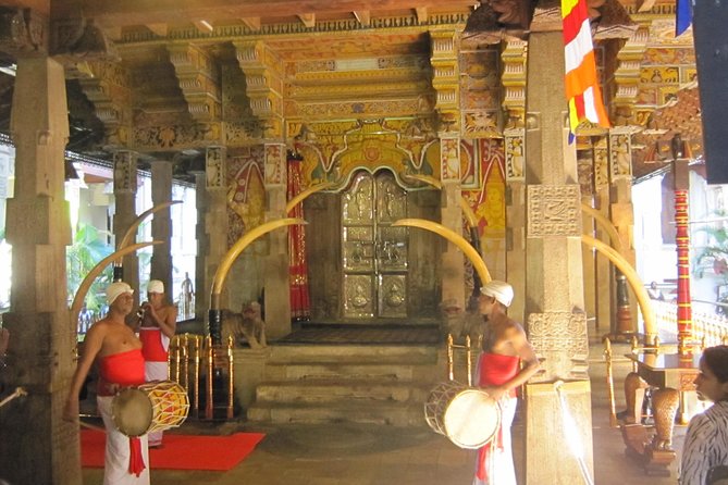 Kandy Day Tour From Colombo - Price and logistics: what $55 really covers