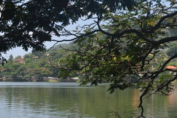 Kandy Full-Day Tour - Kandyan Art Association and Rooftop Lunch in Kandy