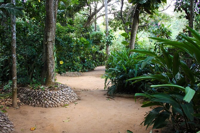 Kandy Full-Day Tour - Tea Factory and Tea Estate at Kadugannawa