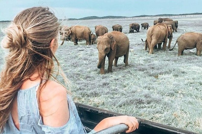 Kandy - Minneriya National park & Sigiriya Rock by tuk tuk tours - Key things to know before you go