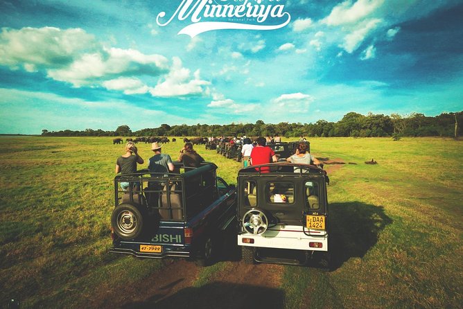Kandy - Minneriya National park & Sigiriya Rock by tuk tuk tours - Sigiriya visit and the lunch stop before the safari