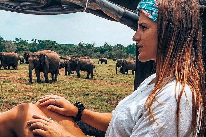 Kandy - Minneriya National park & Sigiriya Rock by tuk tuk tours - Minneriya jeep safari: elephants, birds, and the payoff moment