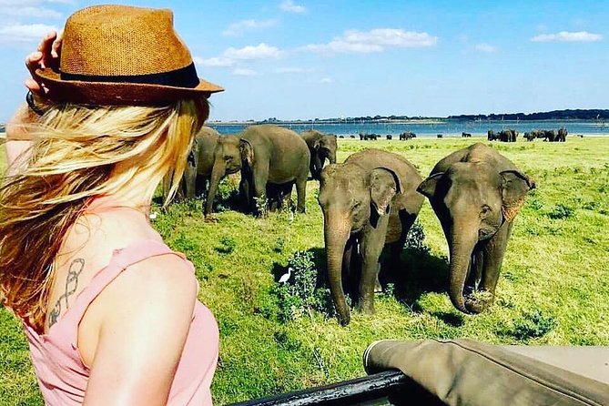 Kandy - Minneriya National park & Sigiriya Rock by tuk tuk tours - Tour pace, comfort, and guide style that can make or break the day