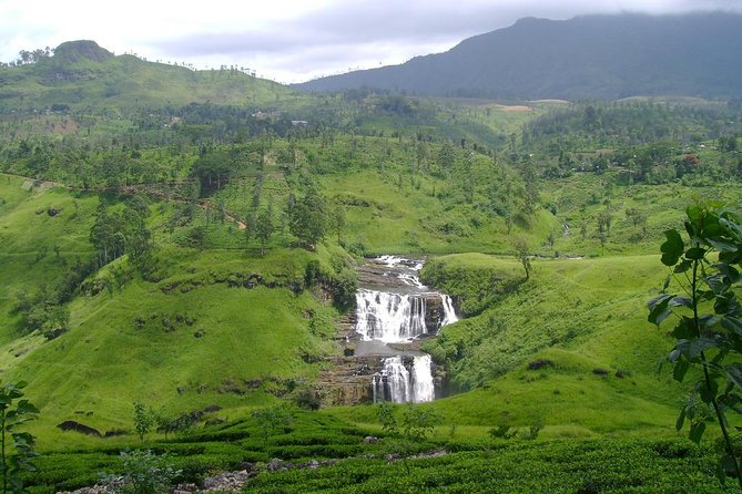 Kandy & Nuwara Eliya | 2 Days Tour - Kandy city walk: quick hits that actually give you orientation