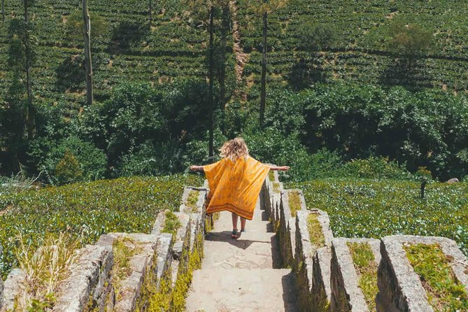 Kandy & Nuwara Eliya | 2 Days Tour - Temple of the Sacred Tooth Relic: UNESCO sights without the confusion