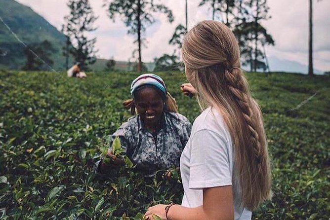 Kandy & Nuwara Eliya | 2 Days Tour - Pinnawala elephant time: the morning you’ll remember