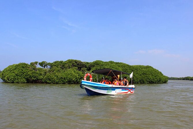Muthurajawela Bird Watching Tour from Negombo / Colombo - Key points you should know