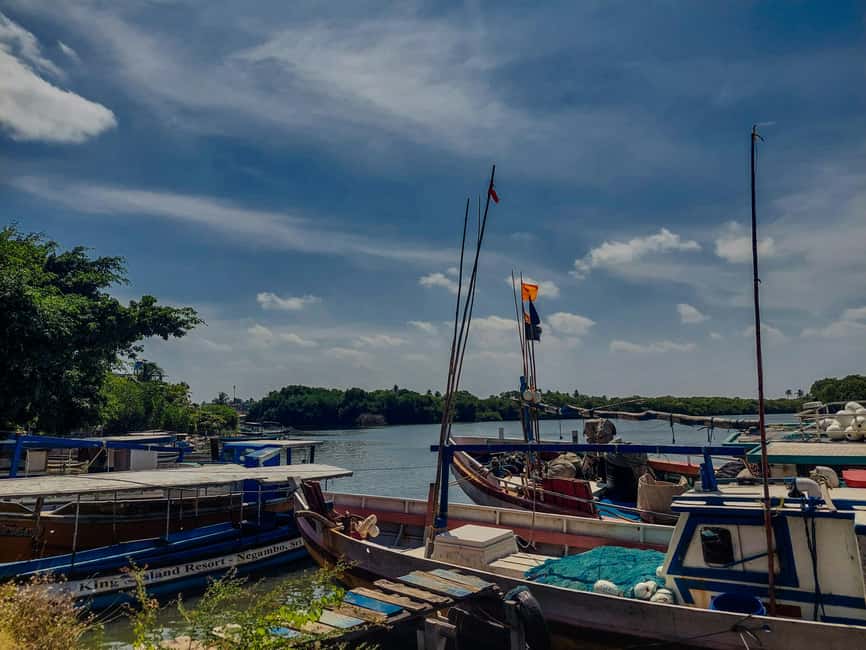 Negombo & Colombo: Full-Day Tour with Lunch - Pettah Market: your city-energy checkpoint