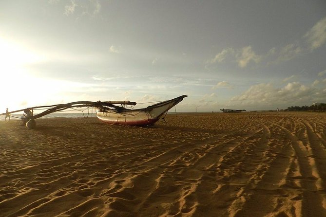 Negombo Day Tour - Fish Market Time: See the Types and How Selling Works