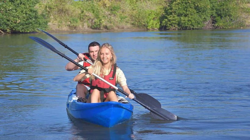Negombo: Guided Kayaking Tour in the Lagoon - Birdlife and Traditional Fishing Culture on the Water