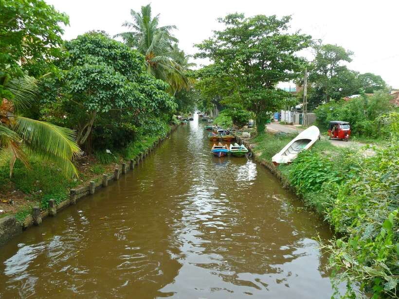 Negombo: Hamilton Canal to Colombo by Boat via Muthurajawela - Why this Dutch Canal route matters in Negombo