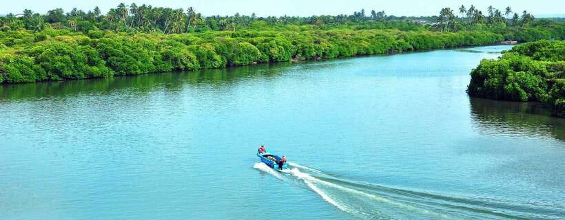 Negombo: Hamilton Canal to Colombo by Boat via Muthurajawela - Stop 1: Dutch Canal cruising with photo stops and calm water