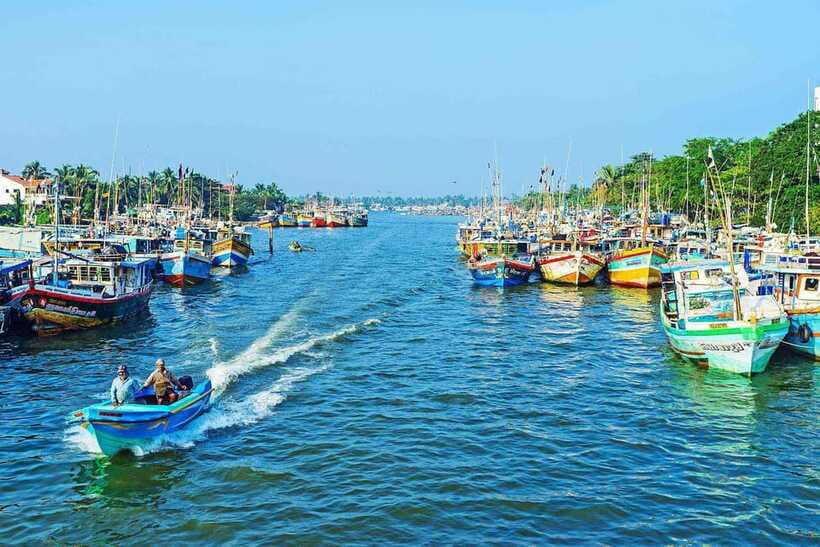 Negombo: Hamilton Canal to Colombo by Boat via Muthurajawela - What the guide brings to the experience (and why it affects value)