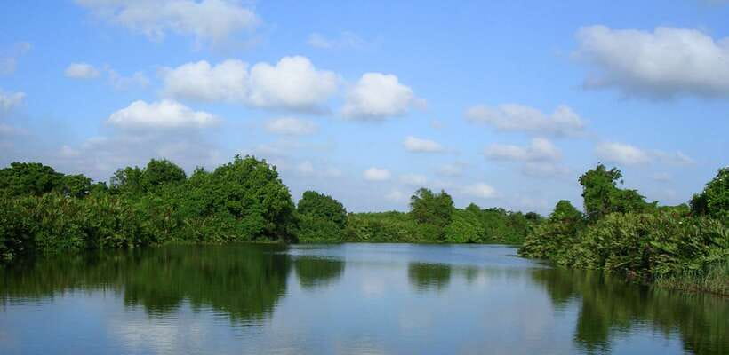 Negombo: Hamilton Canal to Colombo by Boat via Muthurajawela - Price and value: is $80 per person fair?