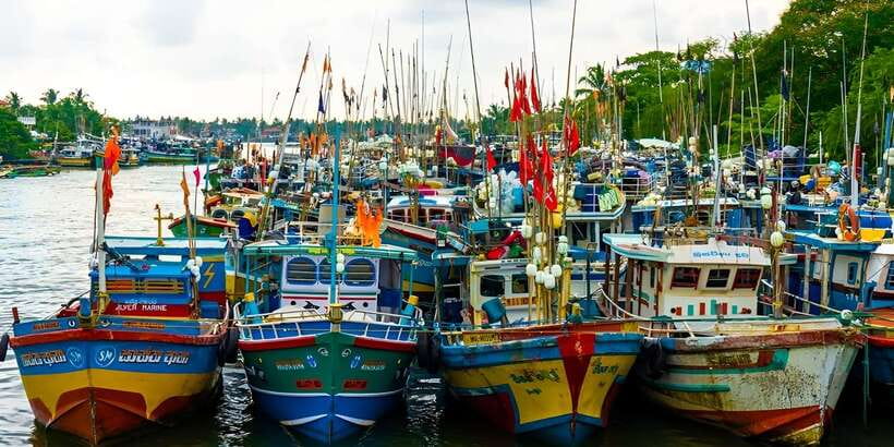 Negombo Heritage Walking Tour - Market Walk: Vegetables, Fruit Stalls, and How People Trade