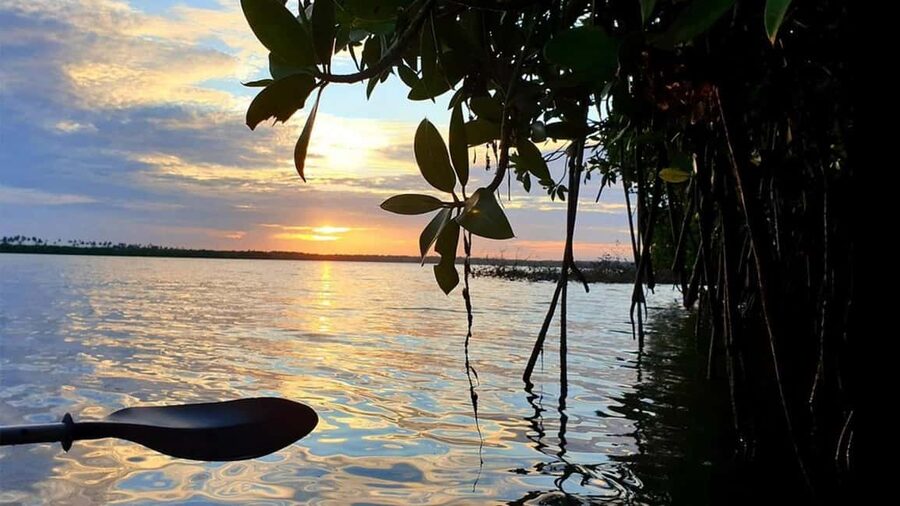 Negombo: Kayaking in the Lagoon - Key things I’d bet on before you book