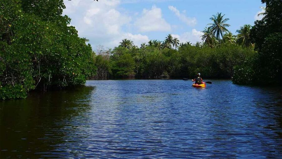 Negombo: Kayaking in the Lagoon - Two hours on calm water: what the paddle feels like