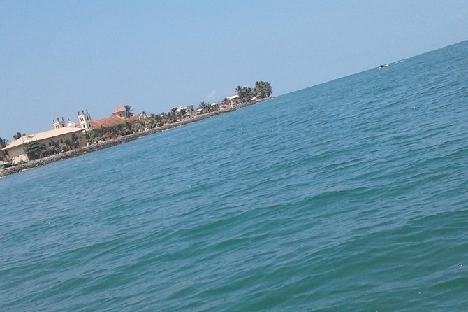 Negombo Lagoon Boat Safari From Negombo - Why the Negombo Lagoon safari is the part most people miss