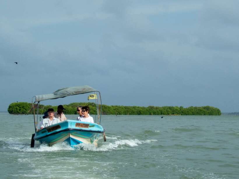 Negombo Lagoon (Mangrove ) Boat Excursion - Key things that make this boat trip worth your time
