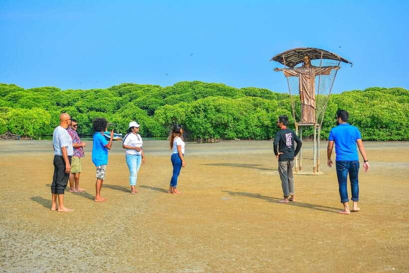 Negombo Lagoon (Mangrove ) Boat Excursion - The mangrove boat ride: fishermen nets, sailing boats, and bird spotting