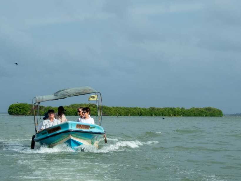 Negombo Lagoon (Mangrove ) Boat Excursion - Negombo Fish Market: short, focused, and close to real life
