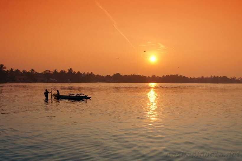 Negombo Lagoon (Mangrove ) Boat Excursion - Seafood lunch and refreshments: fuel that fits the outing