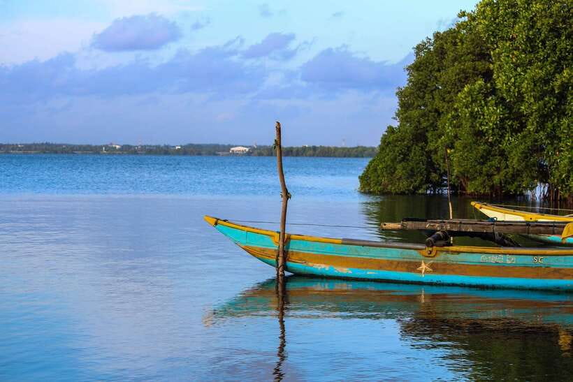 Negombo Lagoon (Mangrove ) Boat Excursion - Before you go: tide timing, sun comfort, and health requirements