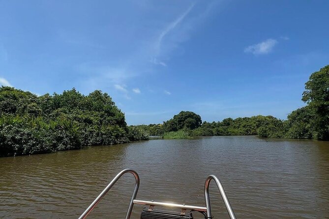 Negombo Lagoon & Muthurjawela Bird Watching Boat Tour - Key Highlights You’ll Actually Feel On The Water