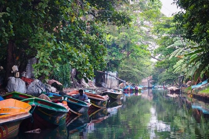 Negombo Lagoon & Muthurjawela Bird Watching Boat Tour - The 1-Hour Muthurajawela Marsh Bird Watching Part