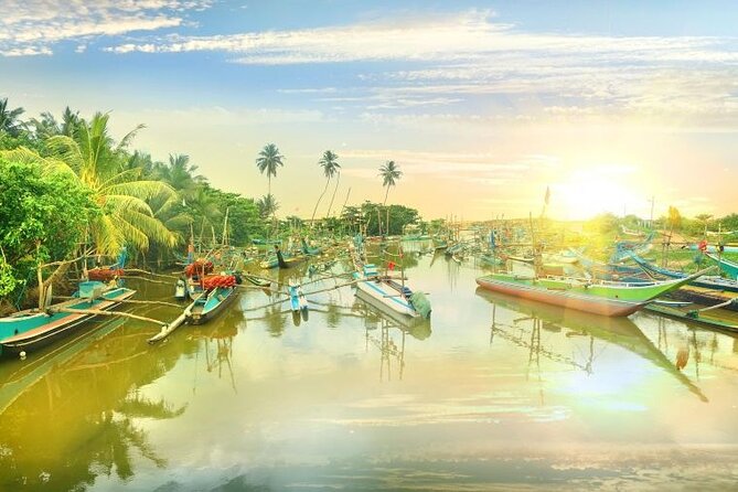 Negombo Lagoon & Muthurjawela Bird Watching Boat Tour - Private Tour Setup: What It Changes For Your Experience