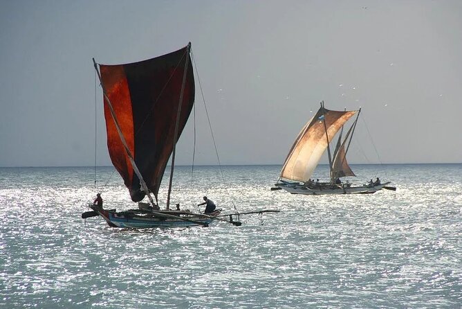 Negombo Lagoon & Muthurjawela Bird Watching Boat Tour - A Note About Transfers, Especially If You’re Coming From A Cruise