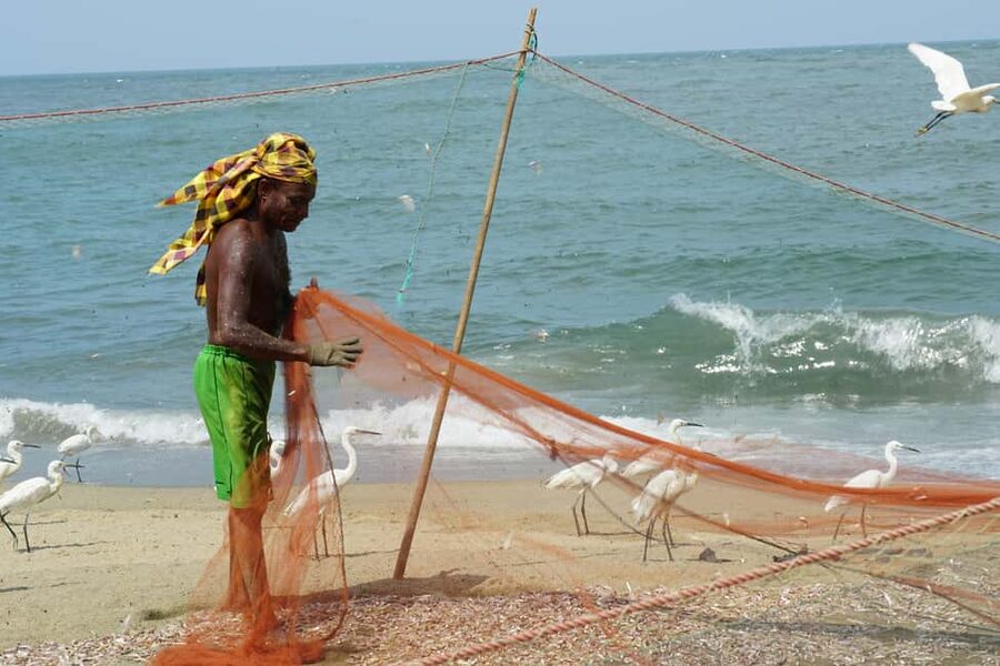 Negombo Private Tour: Market, Temples & Canal - Why Negombo Works for a Short Private Tour