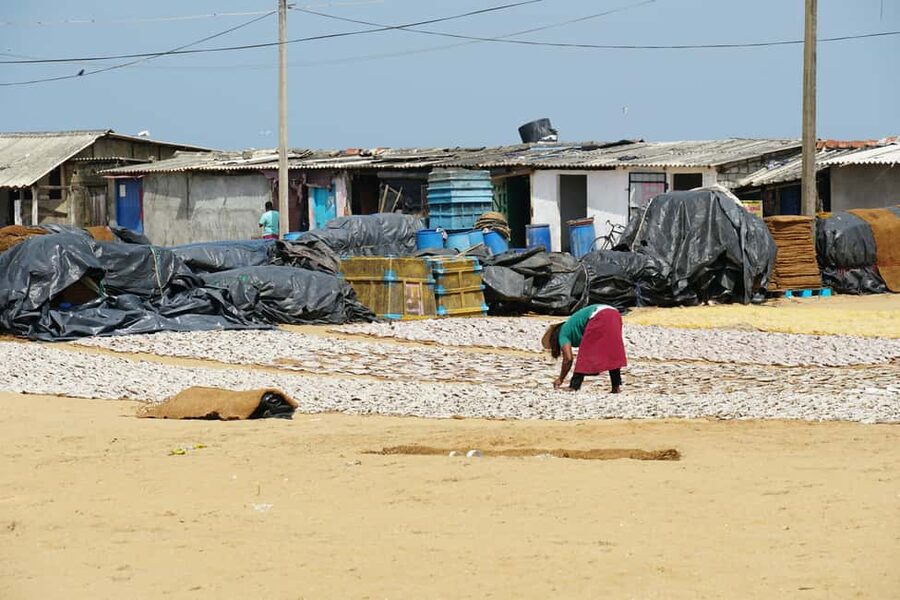 Negombo Private Tour: Market, Temples & Canal - The Negombo Fish Market and Dry-Fish Processing Area