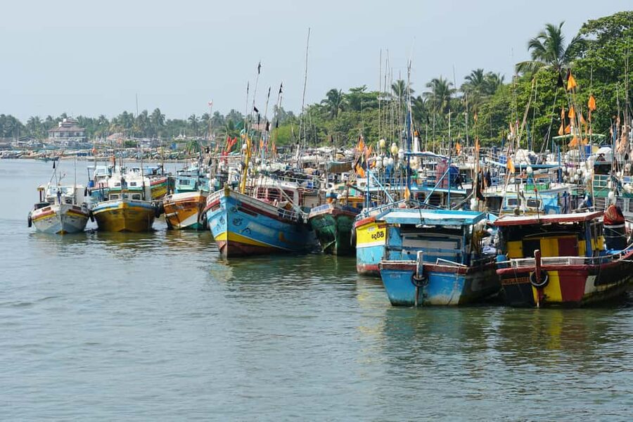 Negombo Private Tour: Market, Temples & Canal - Meeting, Pickup, and Getting Around Comfortably