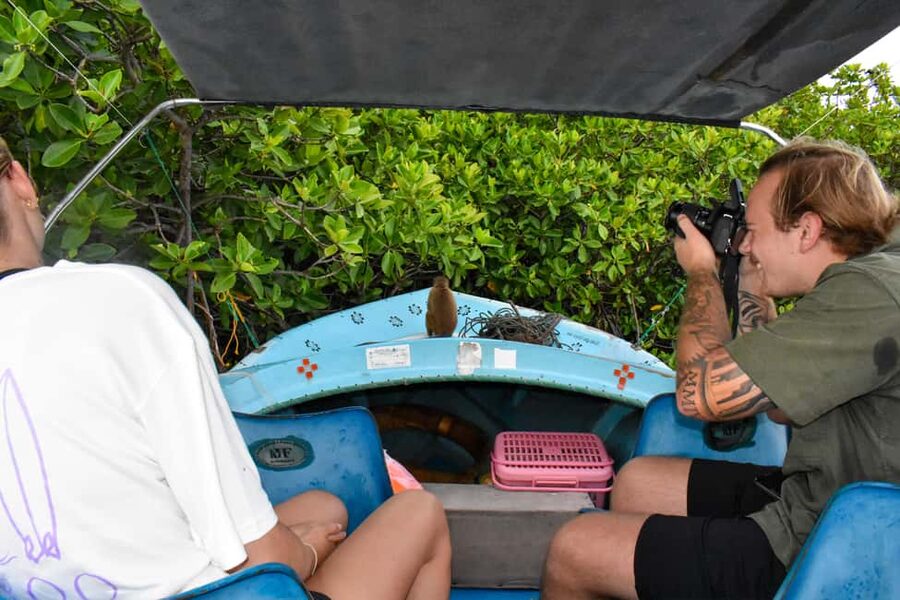 Negombo: Sunset lagoon boat tour with hotel transfers - Why this Negombo lagoon tour feels like a reset