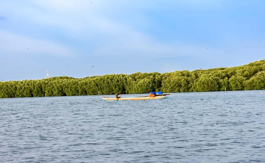Negombo: Sunset lagoon boat tour with hotel transfers - Monkey Island and the toque macaques: fun, close, and quick