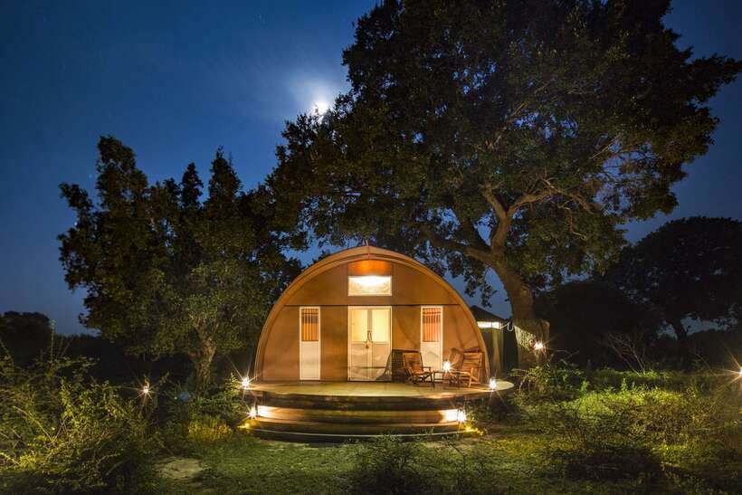 Overnight Treehouse Safari at Yala National Park - Key highlights you will actually feel