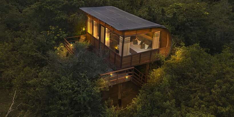 Overnight Treehouse Safari at Yala National Park - Who should book this overnight Yala treehouse safari