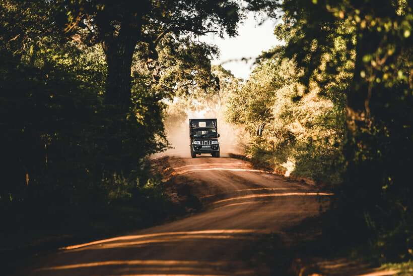 Overnight Treehouse Safari at Yala National Park - Colombo to Yala, and the reality of transfer timing