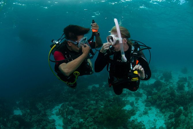 PADI Scuba Diver Course - Key highlights before you commit