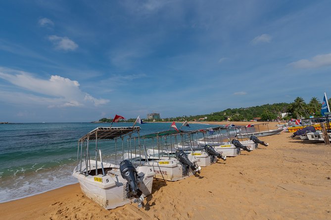 PADI Scuba Diver Course - PADI Scuba Diver certification, what you truly get at max 12 m