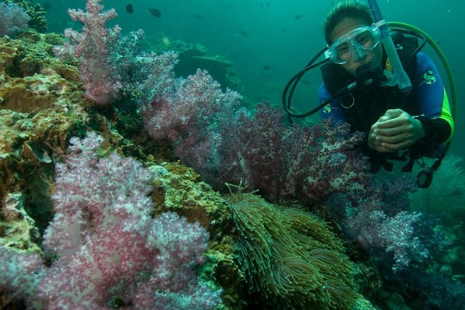 PADI Scuba Diver Course - Negombo on the listing, Unawatuna at the start, and why transfers matter