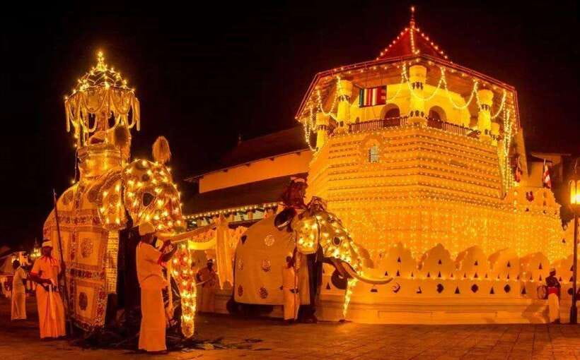 Pinnawala,Kandy Day Tour from Colombo/Negombo - Key things to know before you go