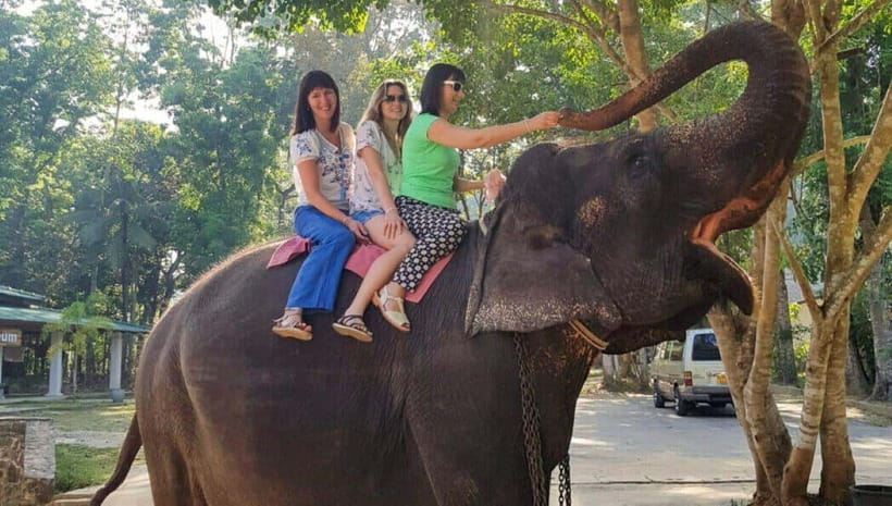 Pinnawala,Kandy Day Tour from Colombo/Negombo - The big picture: why this route works