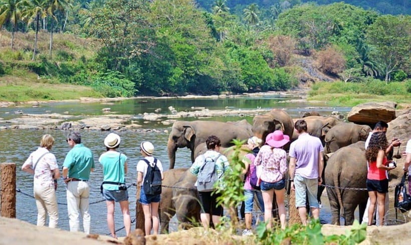 Pinnawala,Kandy Day Tour from Colombo/Negombo - Pinnawala Elephant Orphanage: what the morning feels like